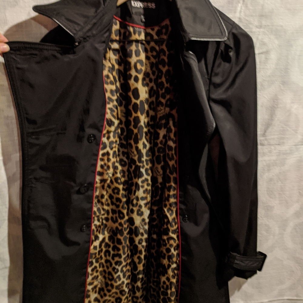 Express Spring Jacket - Picture 3 of 7